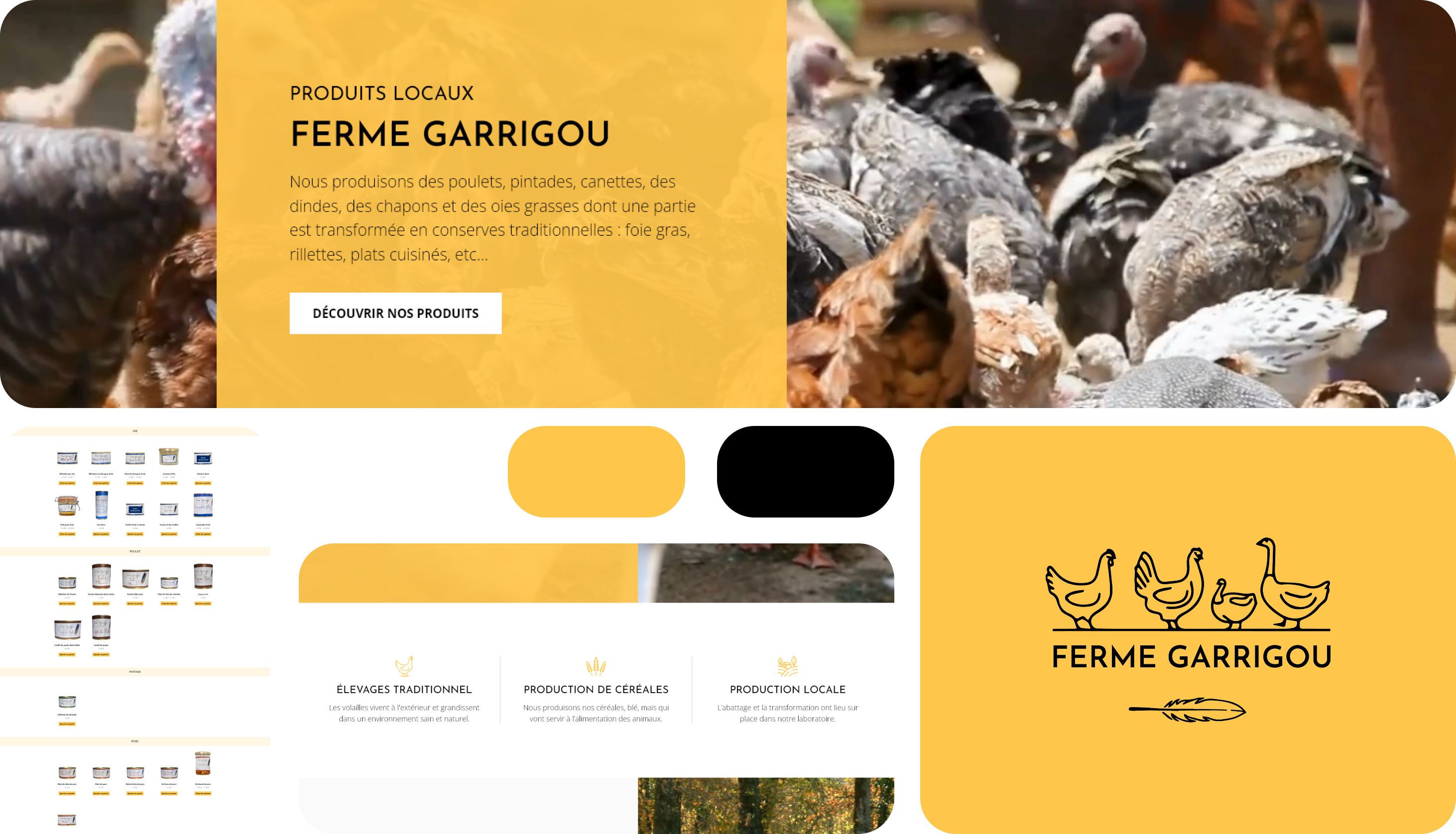 Projet de design web 1